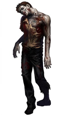 zombi survivor